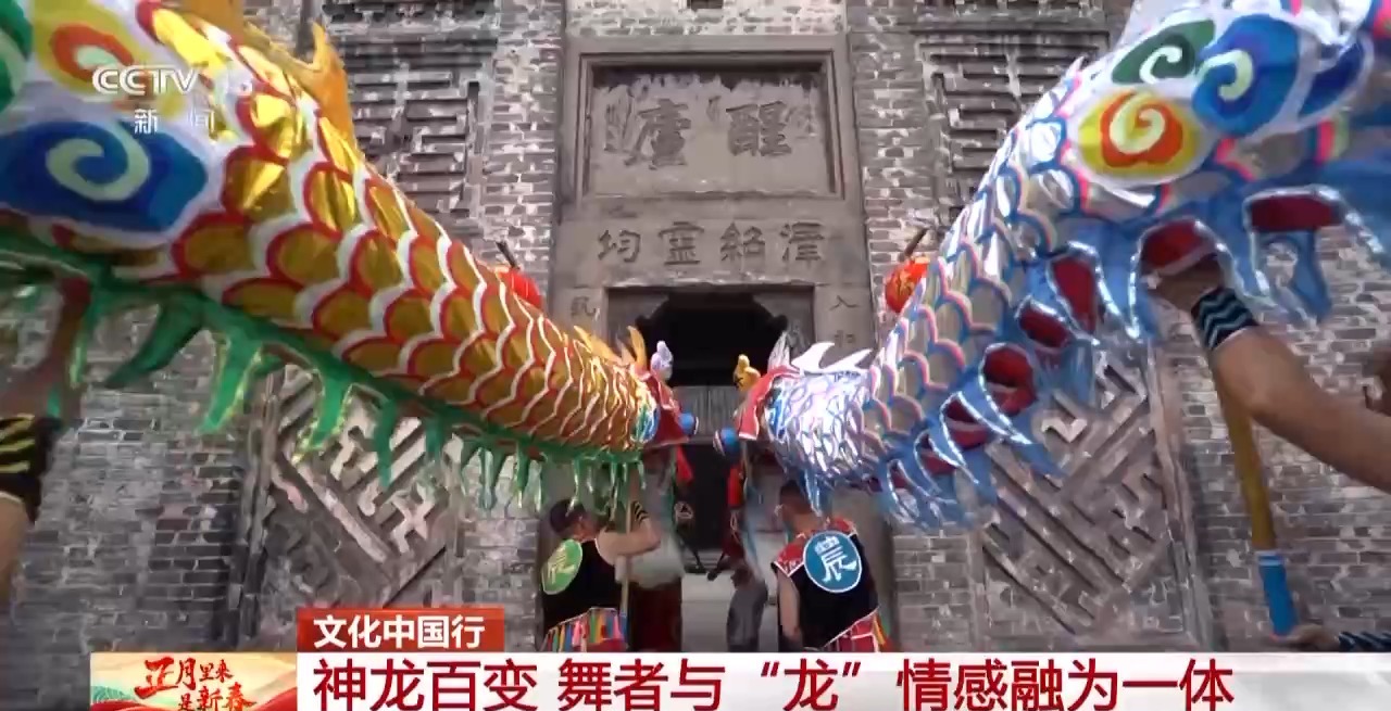 龙、百叶龙……来看不拘一格的龙舞之美不朽情缘手机版文化中国行丨火龙、板凳(图5)