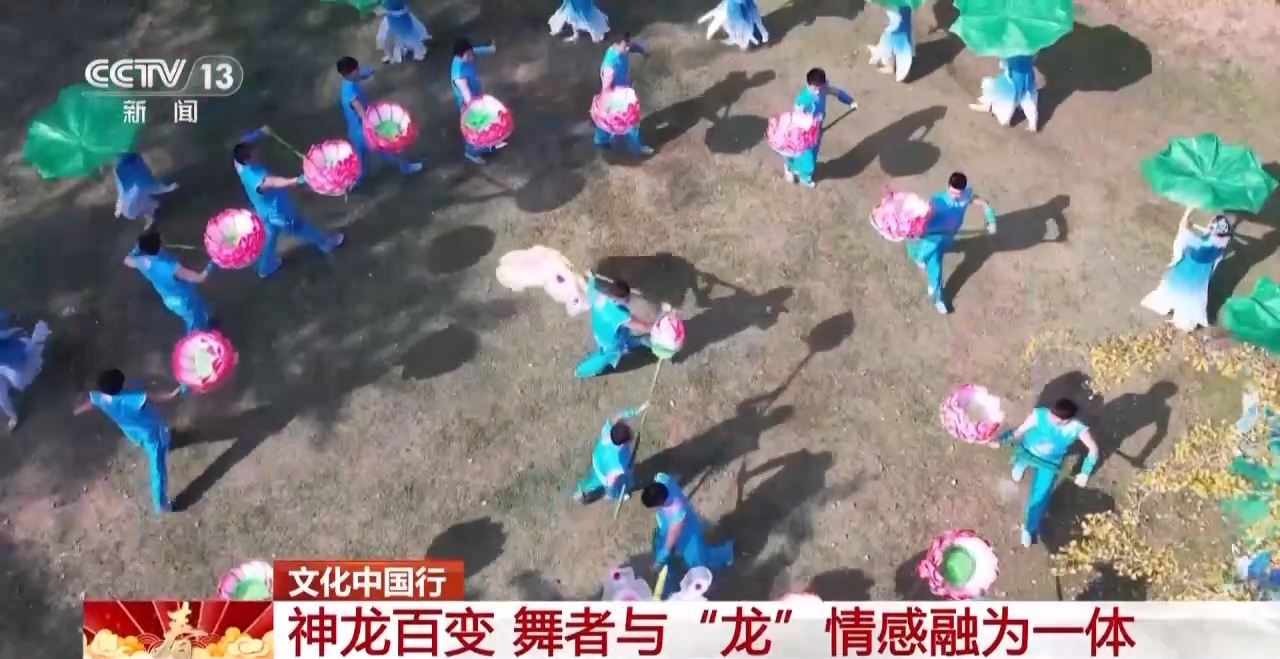 龙、百叶龙……来看不拘一格的龙舞之美不朽情缘手机版文化中国行丨火龙、板凳(图12)
