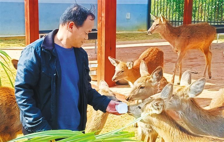 量发展产业调研】林下生金不朽情缘正规网站【高质(图2)